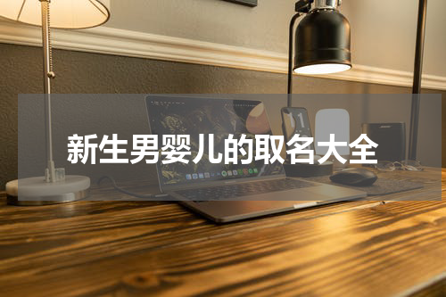 新生男婴儿的取名大全