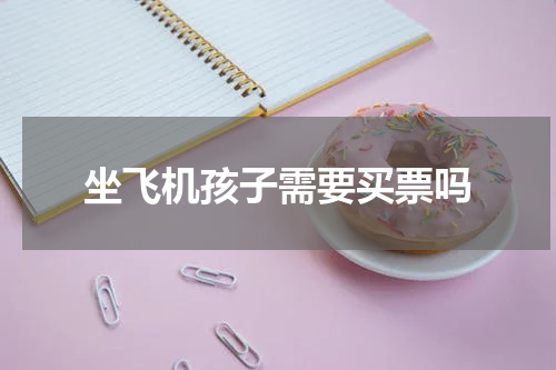 坐飞机孩子需要买票吗