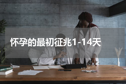 怀孕的最初征兆1-14天
