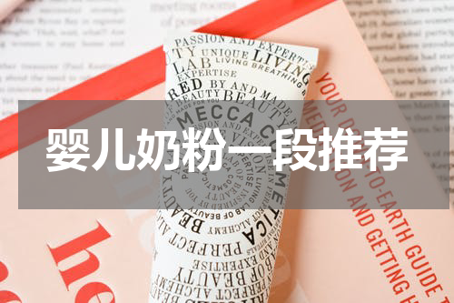 婴儿奶粉一段推荐