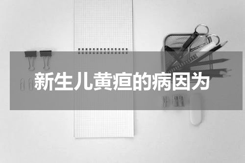 新生儿黄疸的病因为
