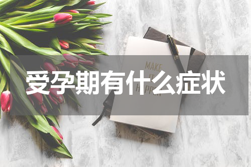 受孕期有什么症状