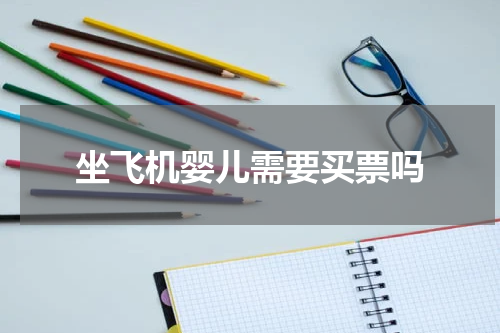 坐飞机婴儿需要买票吗