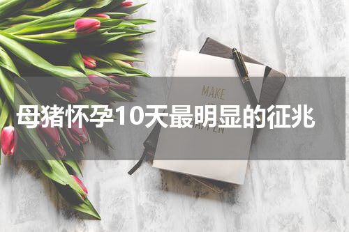 母猪怀孕10天最明显的征兆