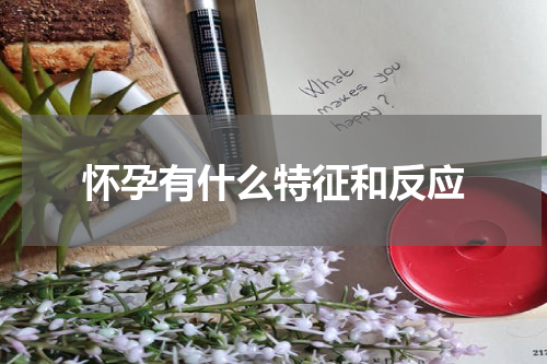 怀孕有什么特征和反应