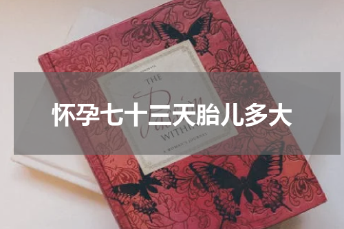怀孕七十三天胎儿多大