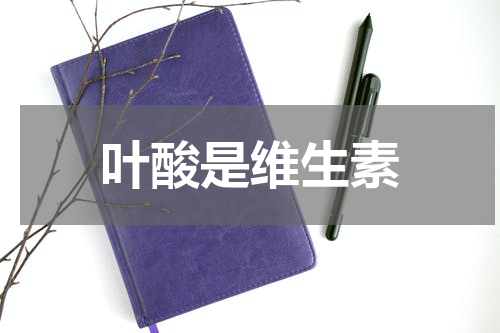 叶酸是维生素
