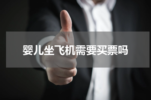 婴儿坐飞机需要买票吗