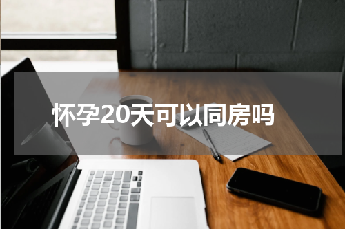 怀孕20天可以同房吗