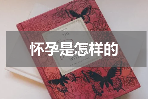 怀孕是怎样的