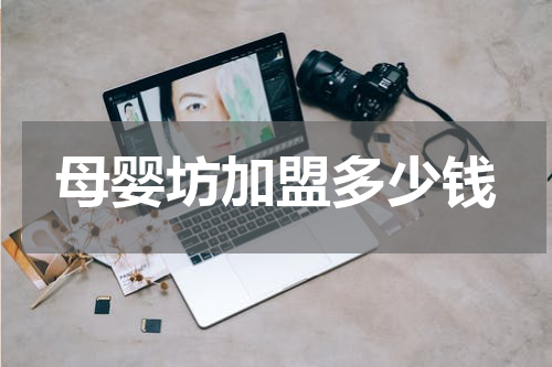 母婴坊加盟多少钱