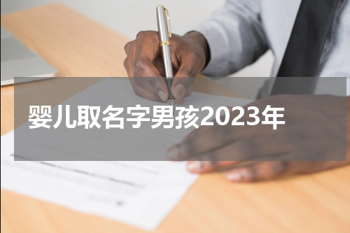 婴儿取名字男孩2023年