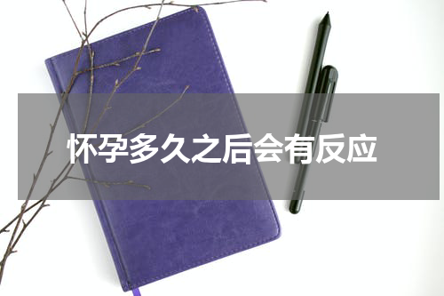 怀孕多久之后会有反应