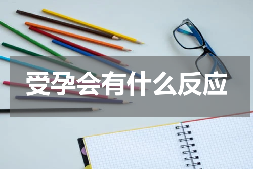 受孕会有什么反应