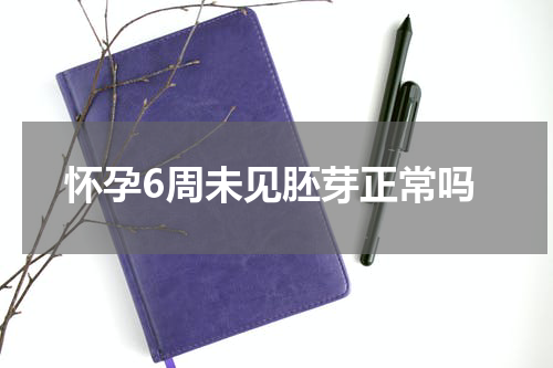 怀孕6周未见胚芽正常吗