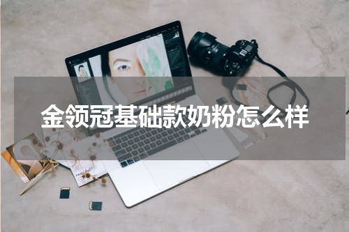 金领冠基础款奶粉怎么样