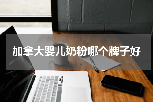 加拿大婴儿奶粉哪个牌子好
