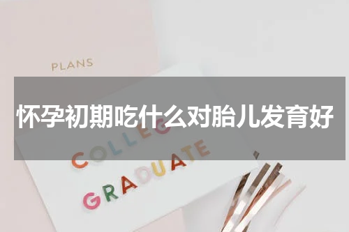 怀孕初期吃什么对胎儿发育好