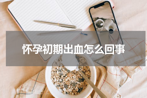 怀孕初期出血怎么回事