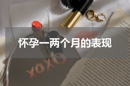 怀孕一两个月的表现