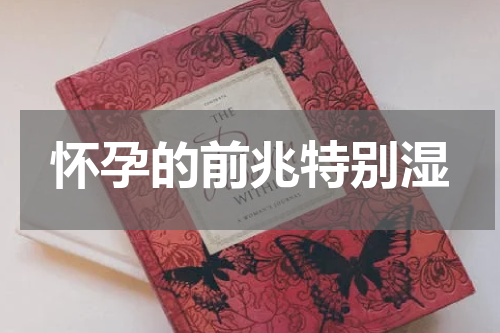 怀孕的前兆特别湿