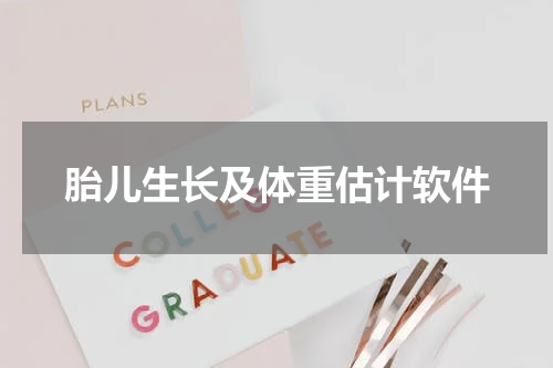 胎儿生长及体重估计软件