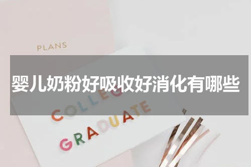 婴儿奶粉好吸收好消化有哪些
