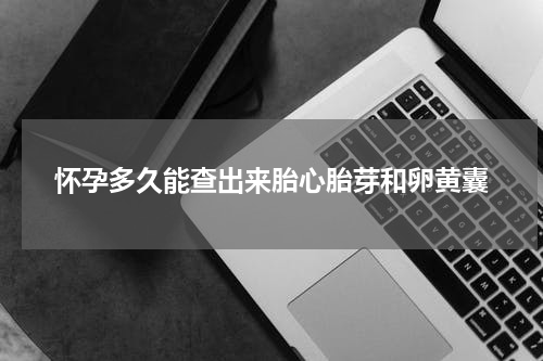 怀孕多久能查出来胎心胎芽和卵黄囊