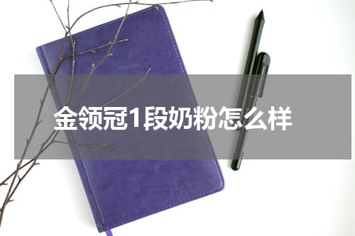 金领冠1段奶粉怎么样