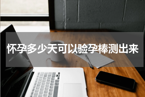 怀孕多少天可以验孕棒测出来