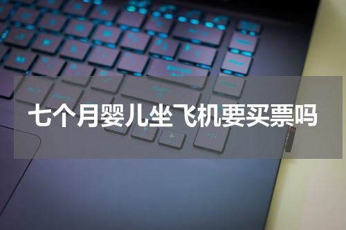 七个月婴儿坐飞机要买票吗