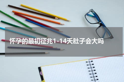 怀孕的最初征兆1-14天肚子会大吗