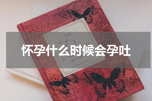 怀孕什么时候会孕吐