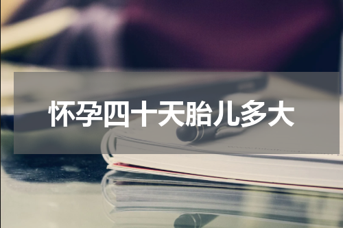 怀孕四十天胎儿多大