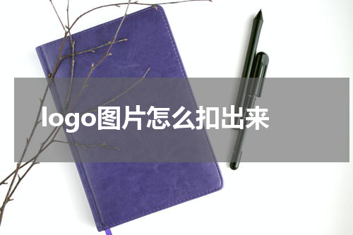 logo图片怎么扣出来