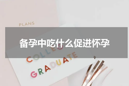 备孕中吃什么促进怀孕
