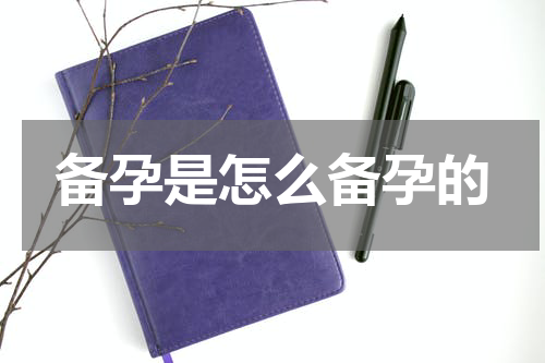 备孕是怎么备孕的