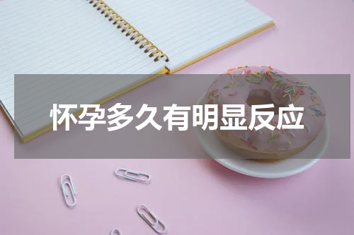 怀孕多久有明显反应