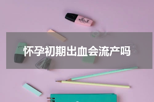 怀孕初期出血会流产吗