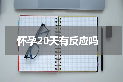 怀孕20天有反应吗