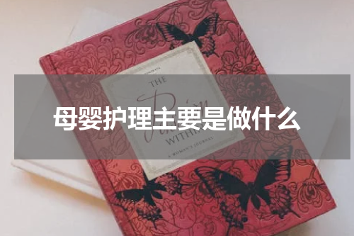 母婴护理主要是做什么