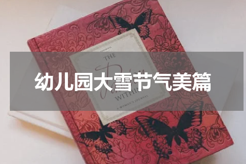 幼儿园大雪节气美篇