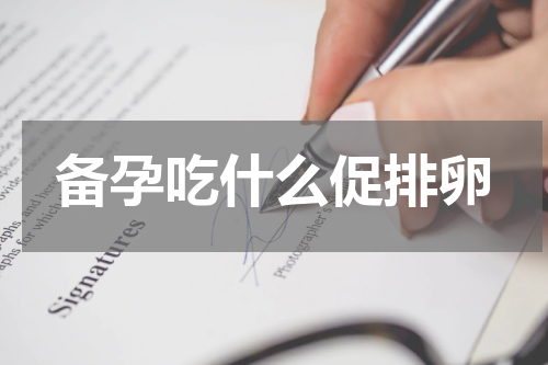 备孕吃什么促排卵