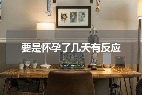 要是怀孕了几天有反应