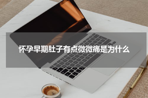 怀孕早期肚子有点微微痛是为什么