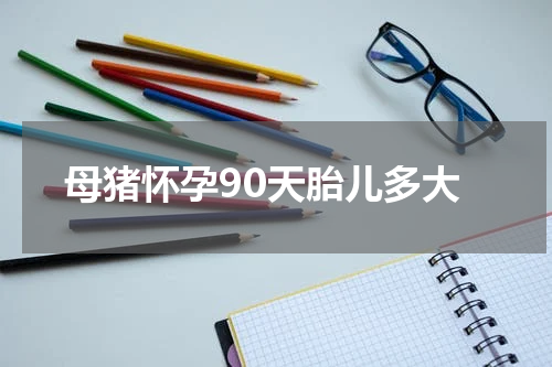 母猪怀孕90天胎儿多大