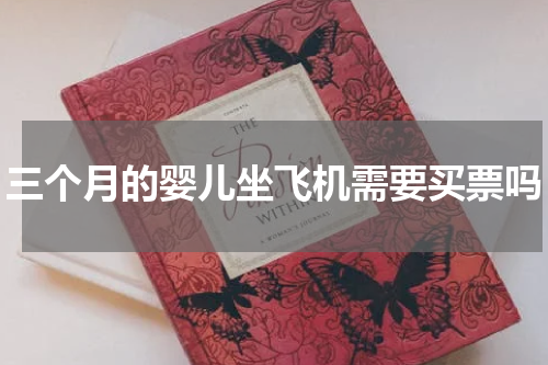 三个月的婴儿坐飞机需要买票吗