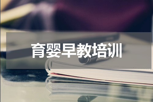 育婴早教培训