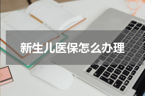 新生儿医保怎么办理