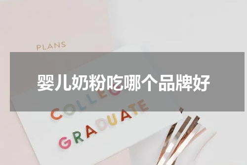 婴儿奶粉吃哪个品牌好